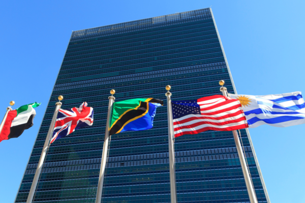 Flags flying outside of the United Nations Headquarter in New York City