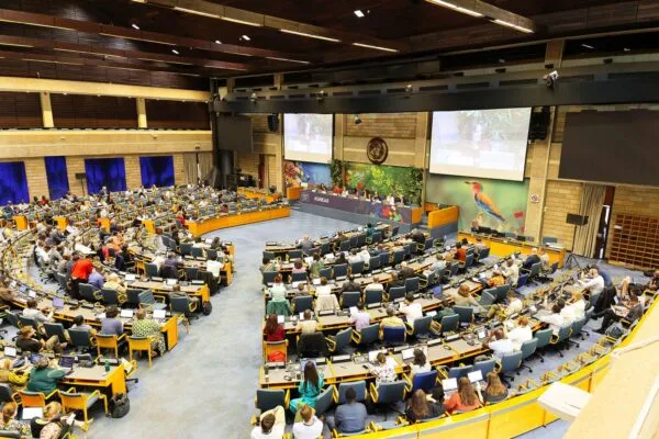 UNEA meeting